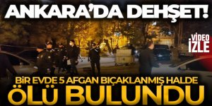 5 Afgan bıçaklanmış halde ölü bulundu