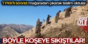 Teröristlerin mağaradan çıkarak teslim oldukları anlar görüntülendi