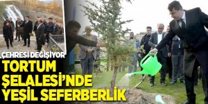 Tortum Şelalesi’nde yeşil seferberlik