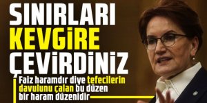 Meral Akşener: Sınırları kevgire çevirdiniz