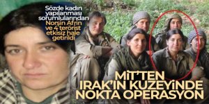 MİT'ten Gara'da nokta operasyon