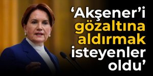 Barış Pehlivan: Meral Akşener'i gözaltına aldırmak isteyenler oldu