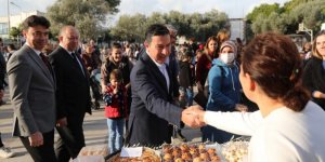 ÖĞRENCİLERDEN ZEYTİN HASADI