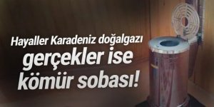 Doğalgaz zamları sonrası Türkiye'de de sobaya dönüş başladı!