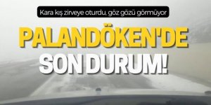 Palandöken Geçidi'nde sis ve tipi etkili oluyor