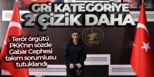 Terör örgütü PKK'nın sözde Gabar Cephesi takım sorumlusu tutuklandı