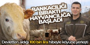 Bankacılığı bıraktı, devlet desteğiyle köyüne yerleşip hayvancılığa başladı