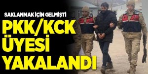Erzurum'da PKK/KCK üyesi yakalandı