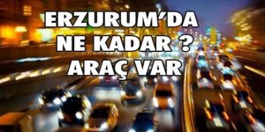 Erzurum Kasım ayı taşıt verileri açıklandı