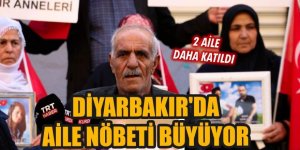 Erzurum'dan bir aile daha evlat nöbetinde