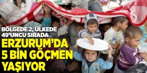 Erzurum’da 5 bin göçmen yaşıyor