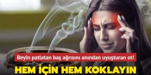 Beyin patlatan baş ağrısını anında uyuşturan ot!