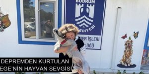 DEPREMDEN KURTULAN EGE’NİN HAYVAN SEVGİSİ