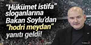 Soylu'dan ''hükümet istifa'' yorumu: ''Mesaimizi bölmek isterlerse rahat böleriz''