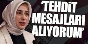 AK Partili Zengin'den '6284 sayılı kanun' açıklaması: Yüzlerce tehdit mesajı alıyorum
