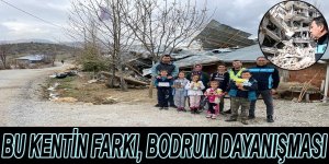 BU KENTİN FARKI, BODRUM DAYANIŞMASI