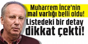 Muharrem İnce'nin mal varlığı belli oldu! Listedeki bir detay dikkat çekti!