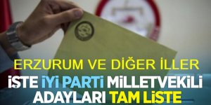 İYİ Parti'nin Erzurum milletvekili aday listesi belli oldu