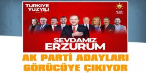 AK PARTİ ADAYLARI GÖRÜCÜYE ÇIKIYOR