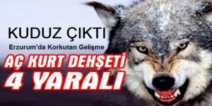 Erzurum'da 4 kişiyi yaralayan kurt, kuduz çıktı, köy karantinada