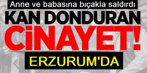 Erzurum'da Anne ve babasına bıçakla saldırdı