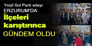 Meral Danış Beştaş, Erzurum'da ilçeleri karıştırdı