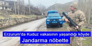 Kuduz vakasının yaşandığı köyde jandarma nöbette