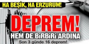 Son 3 günde 16 deprem! Erzurum 40 yıl sonra risk altında mı?