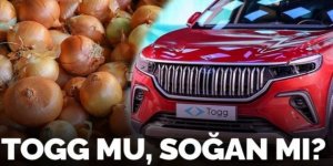 Halk seçimini yaptı: TOGG mu, soğan mı?