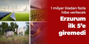 Erzurum ilk 5'e giremedi