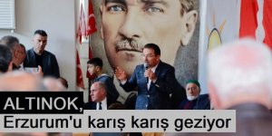 ALTINOK; YERELDEN KÜRESELE TÜRKİYE YÜZYILI