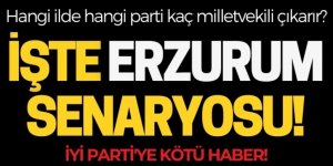 İYİ Parti'ye Erzurum'da şans verilmedi!