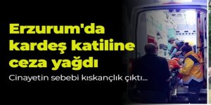 Erzurum'da kardeş katiline ceza yağdı