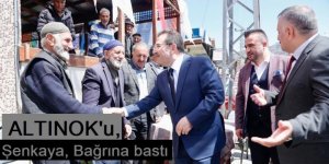 Altınok, Şenkaya'da sıkmadık el bırakmadı