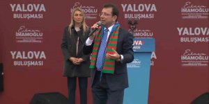 Yalova'da ilginç anlar!