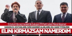 Akşener Ezurum'dan hükümete yüklendi