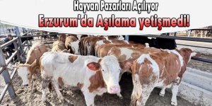 Erzurum'da hayvan pazarları açılıyor