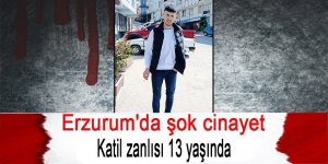 Erzurum'da şok cinayet, 13 yaşında katil oldu