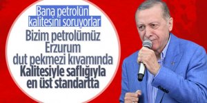 Cumhurbaşkanı Erdoğan: Bizim petrolümüz Erzurum tut pekmezi kıvamında