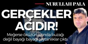 Gerçekler acıdır!