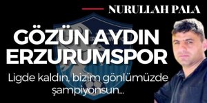 Gözün aydın Erzurumspor!
