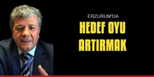 Hedef Erzurum'da oyu artırmak