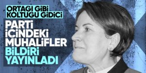 İyi Parti'de Meral Akşener'e karşı ayaklanma