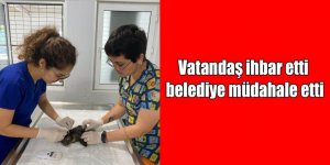 VATANDAŞ İHBAR ETTİ, BELEDİYE MÜDAHALE ETTİ