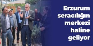 Erzurum seracılığın merkezi haline geliyor: Bölge illeri besleyeceğiz
