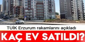 Erzurum'da kaç konut satıldı?