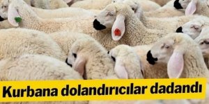 Kurbana dolandırıcılar dadandı!