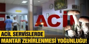 Erzurum'da 60 kişi mantardan zehirlendi