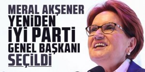 Akşener yeniden İyi Parti Genel Başkanı seçildi