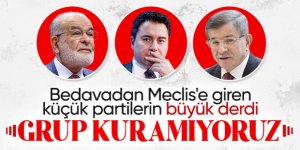 Deva Partisi'nden Meclis'te 'ortak grup kurma' fikrine ret